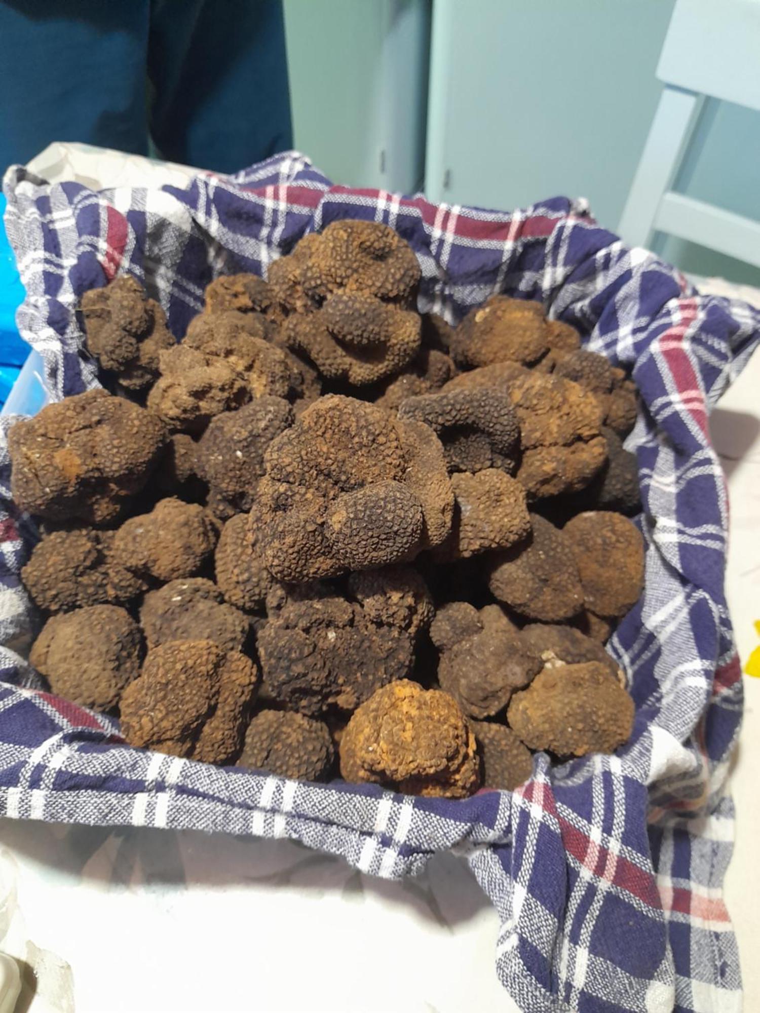 Kuca Za Odmor Lana Leilighet Kršan Rom bilde